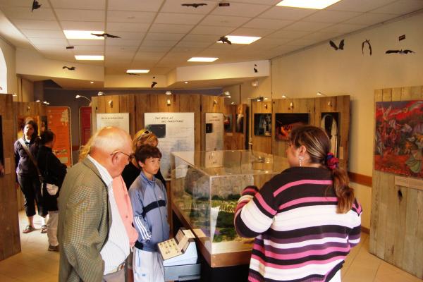 L'exposition à Guillaumes